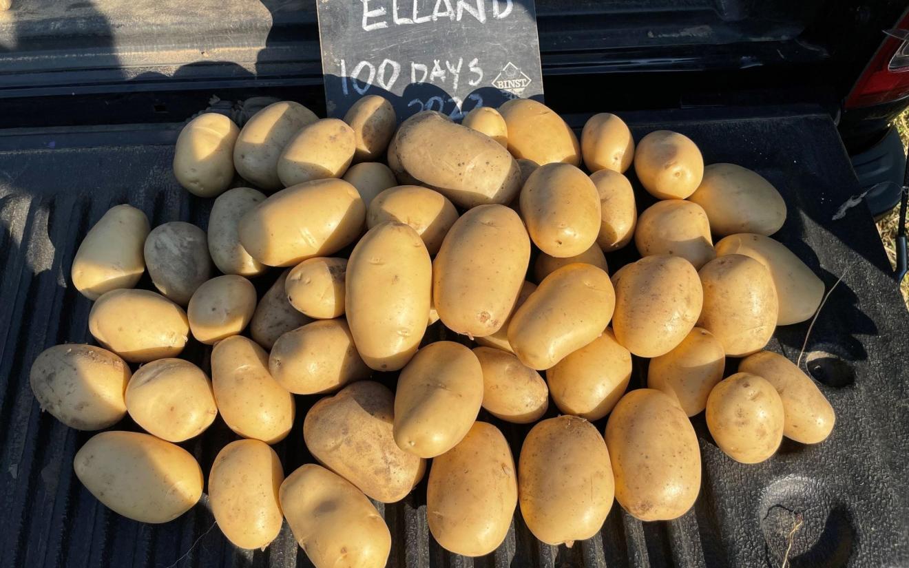 Elland Zwijnaerde 2024