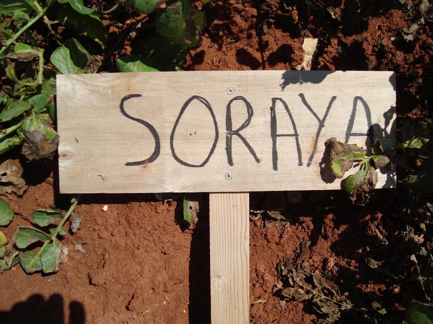 Binst_Europa_Cyprus1_Soraya_sfeer.jpg