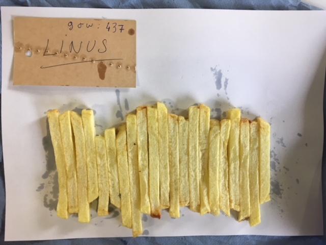 Linus Friettest