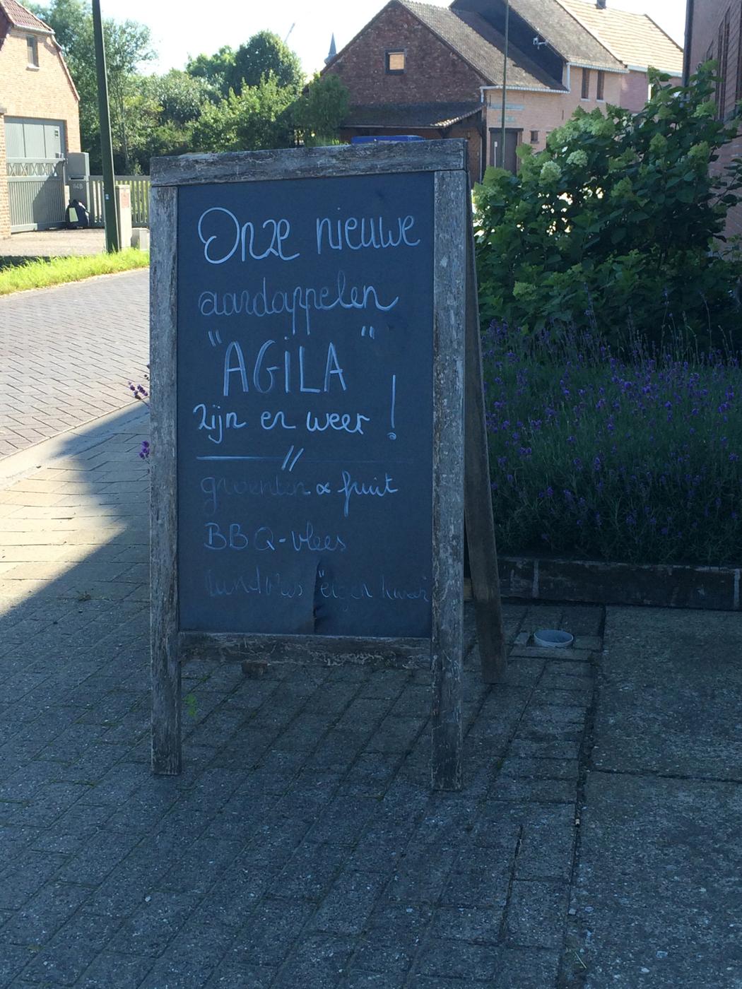 Binst_Europa_Belgie2_Agila_sfeer.jpg