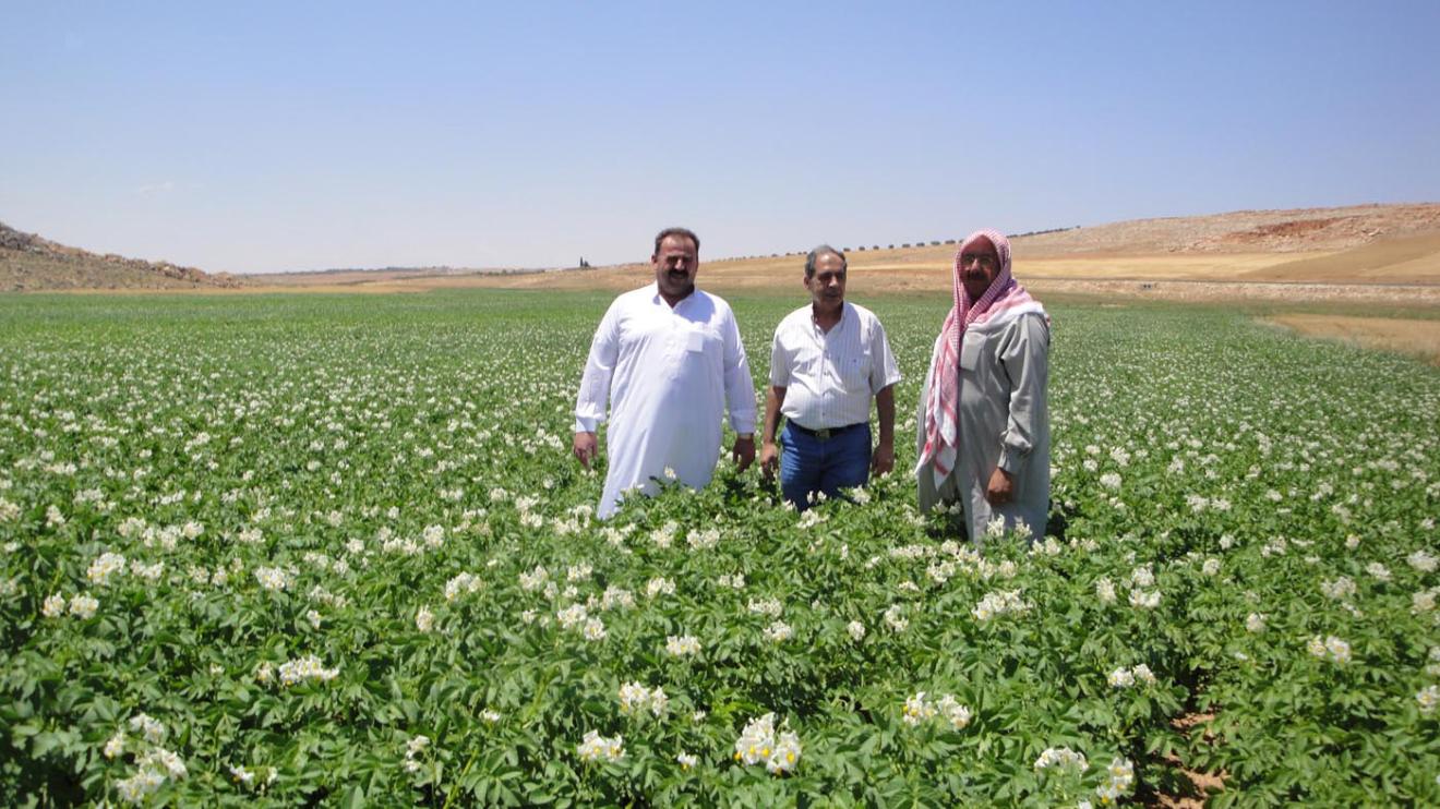 Binst_Middenoosten_Syrie_Regio1_Tebina_sfeer.jpg