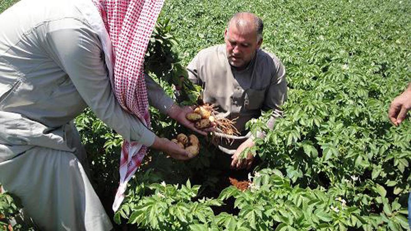 Binst_Middenoosten_Syrie_Regio8_Tebina_sfeer.jpg