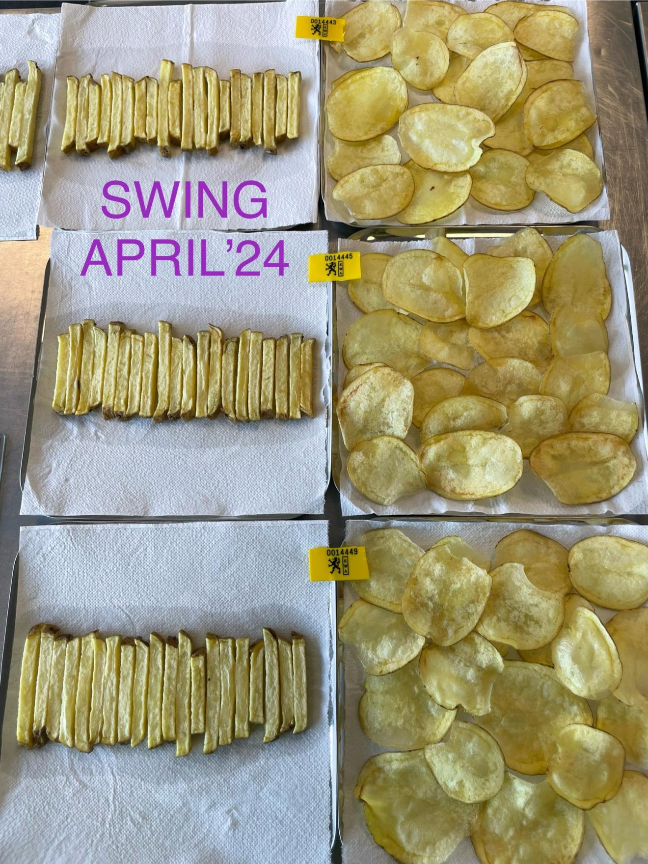 Swing FrenchFry Chips