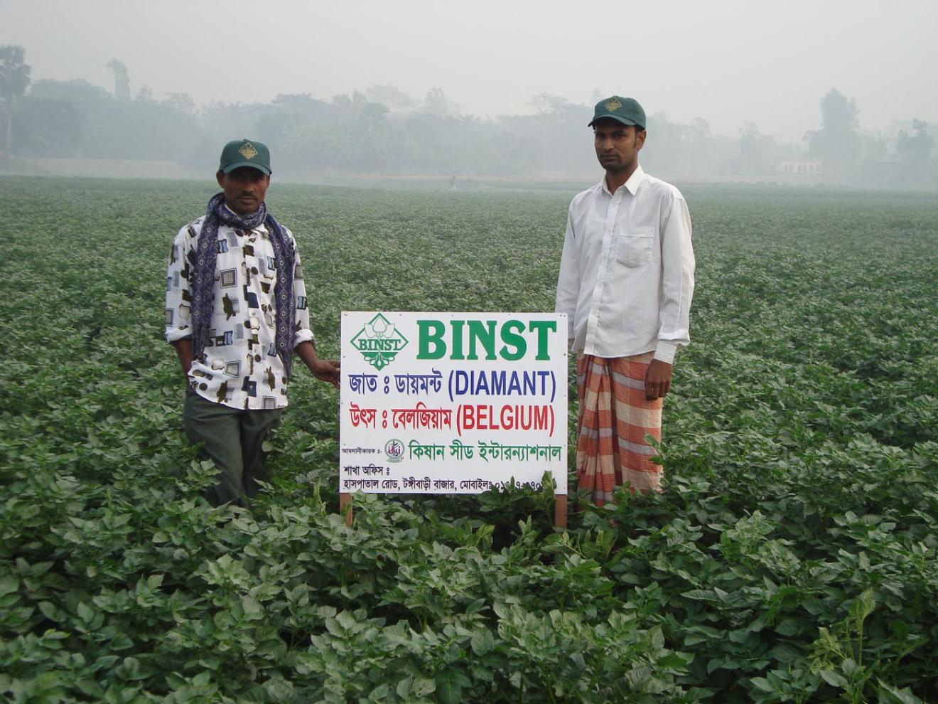 Binst_Azie_Bangladesh_Diamant_Regio1_sfeer.jpg