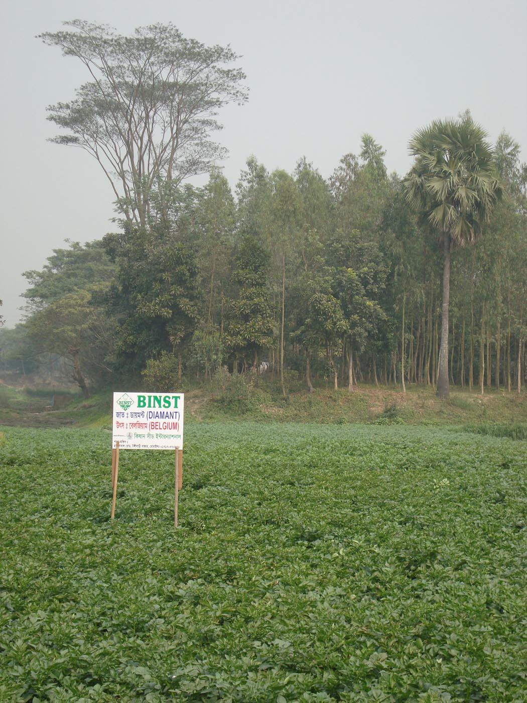 Binst_Azie_Bangladesh_Regio11_sfeer.jpg