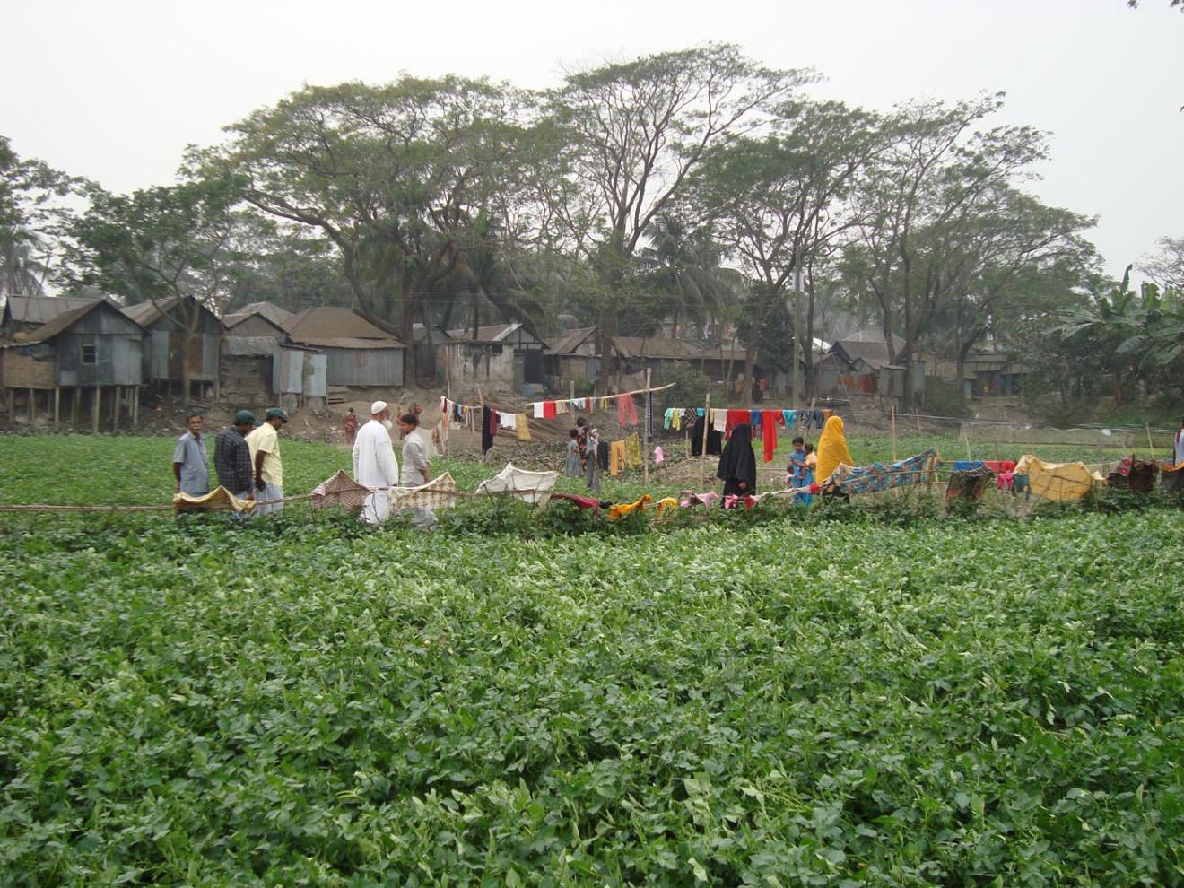 Binst_Azie_Bangladesh_Regio12_sfeer.jpg