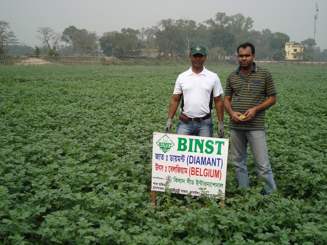 Binst_Azie_Bangladesh4_Diamant_sfeer.jpg