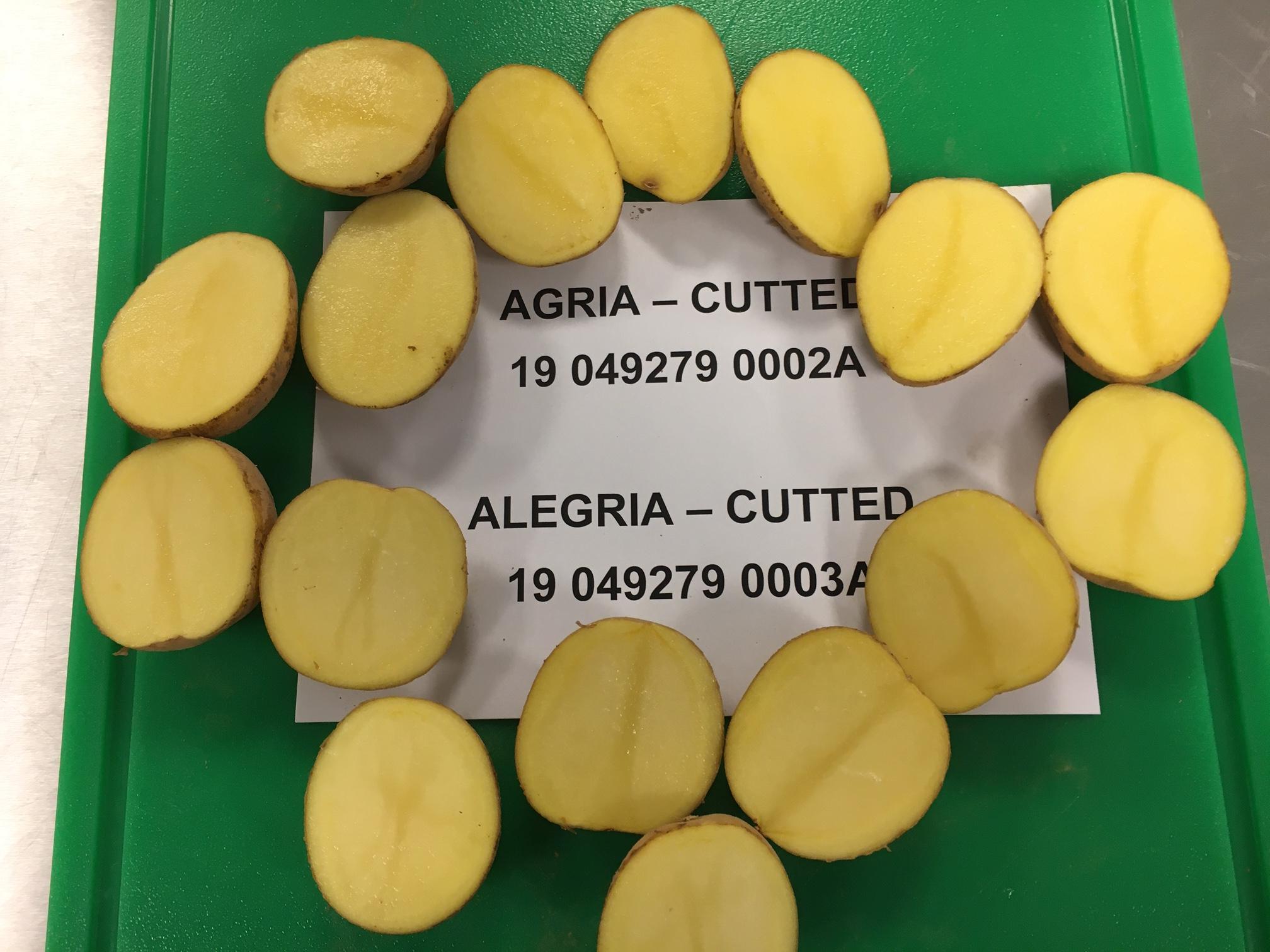 Alegria-Agria